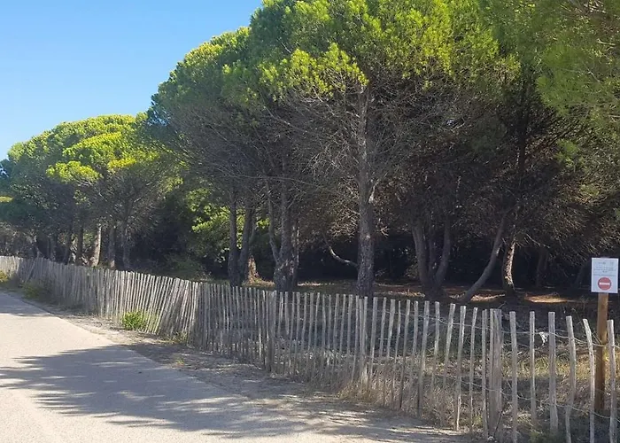 Location Saisonnière De Avril à Fin Octobre Appartement